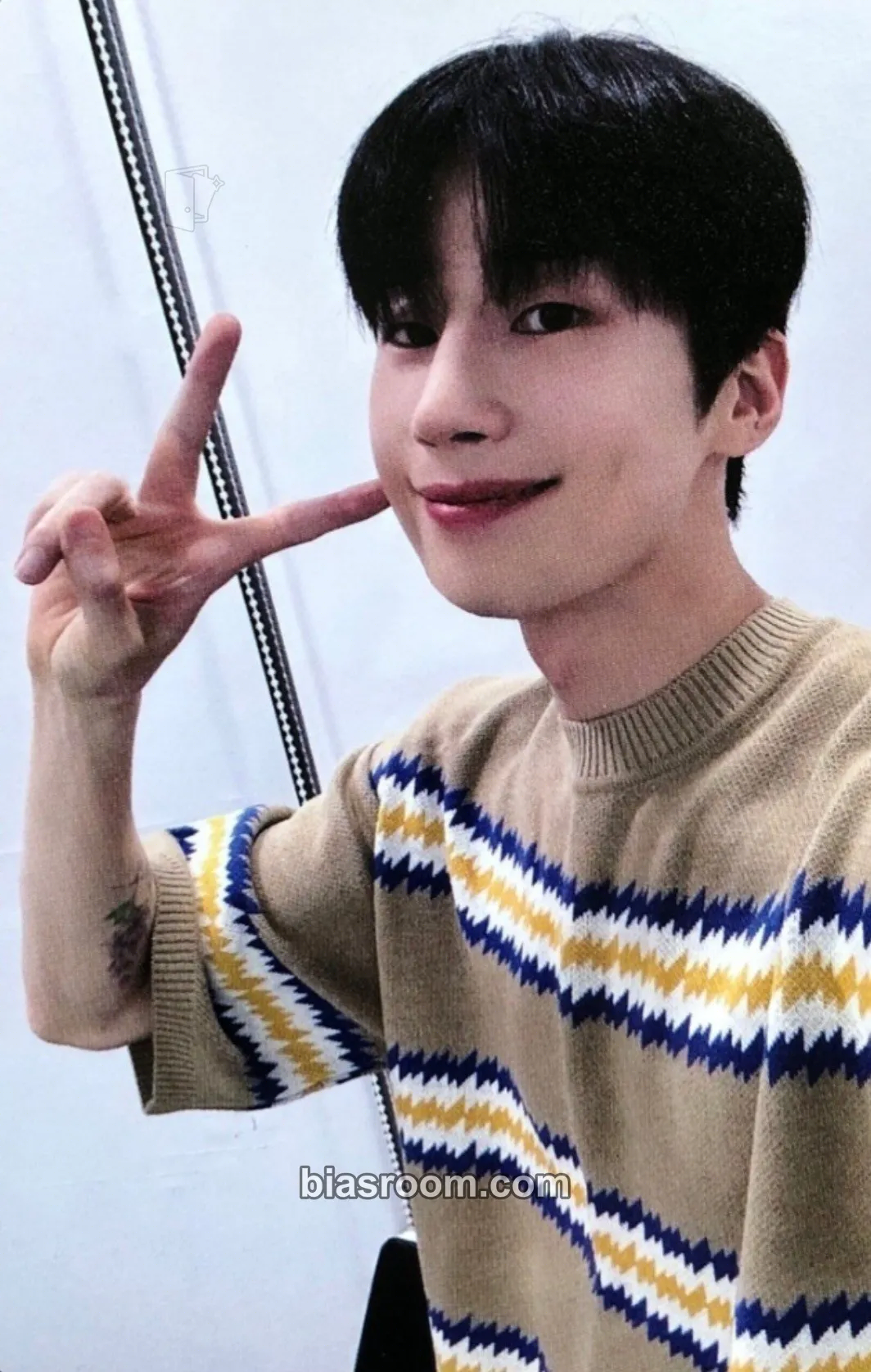 Seungwoo FRAME Photocard - VICTON - VICTON K-pop photocard