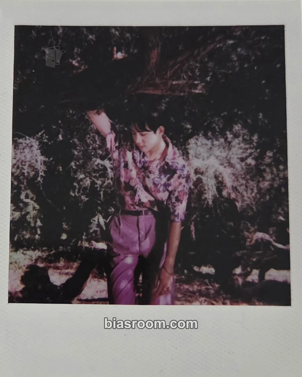 Dojoon Heal Photocard - The Rose - The Rose K-pop photocard