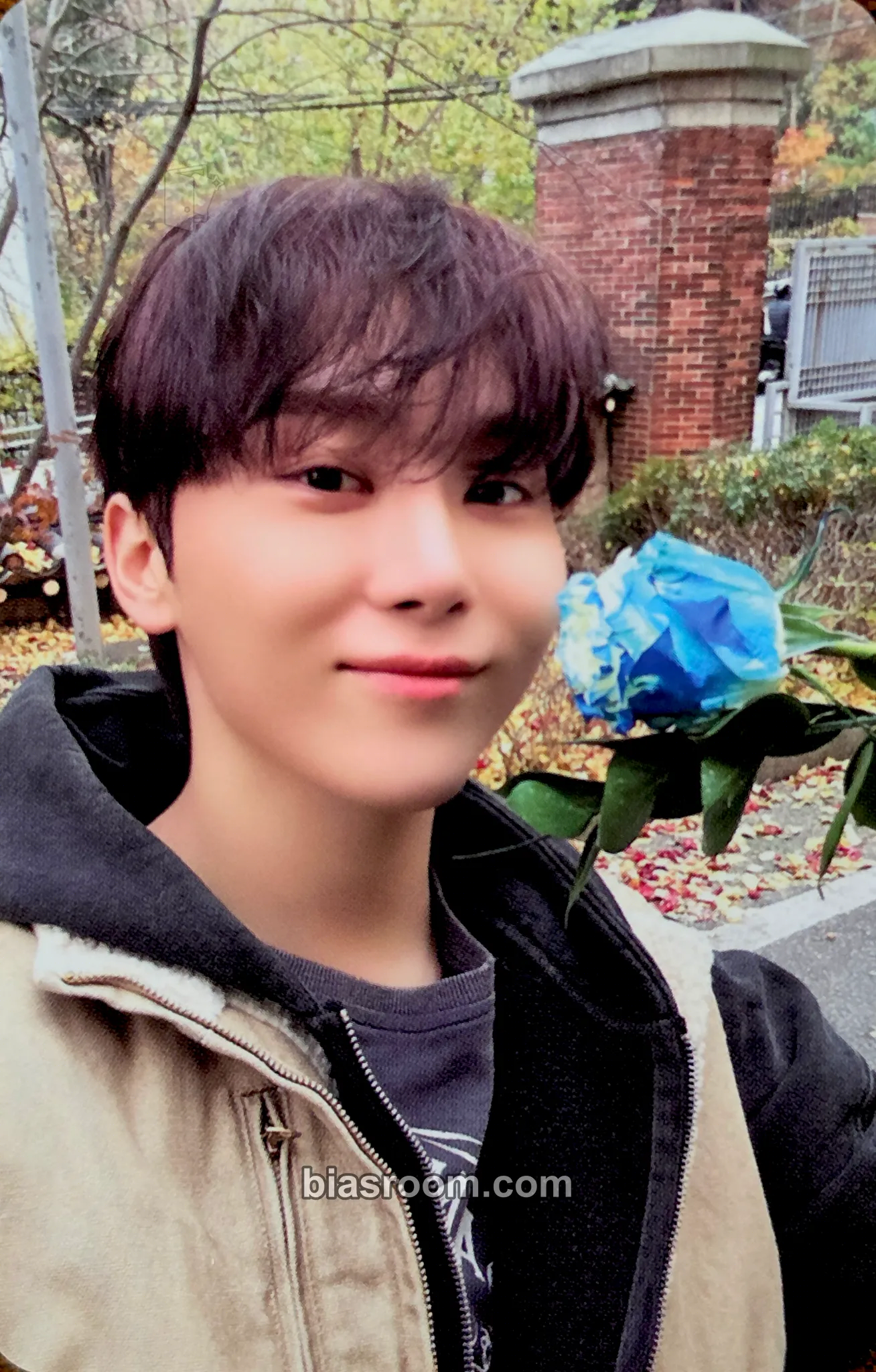 Seungkwan Serenade Photocard - SEVENTEEN - SEVENTEEN K-pop photocard