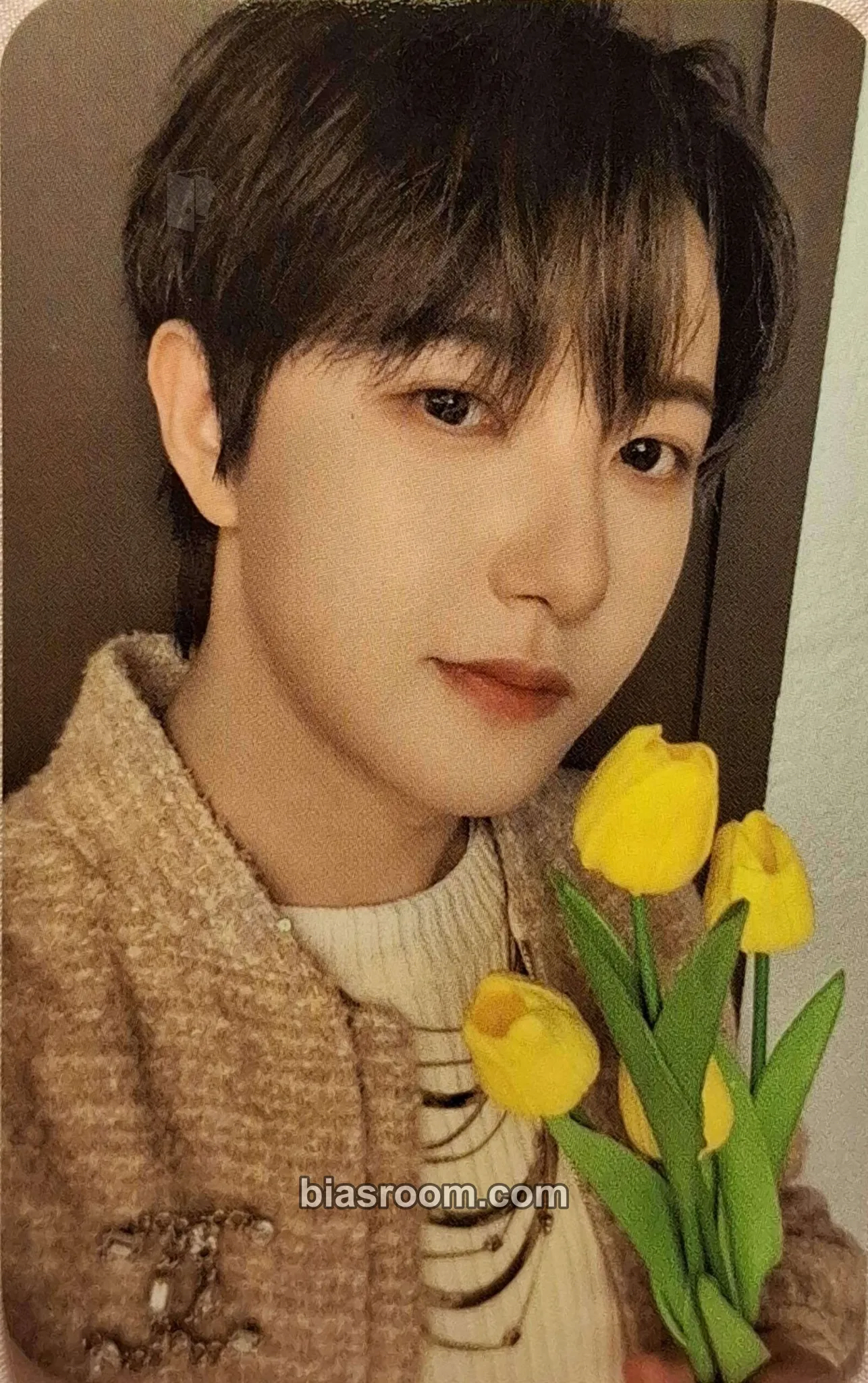 Renjun Dreamscape Photocard - NCT DREAM - NCT DREAM K-pop photocard