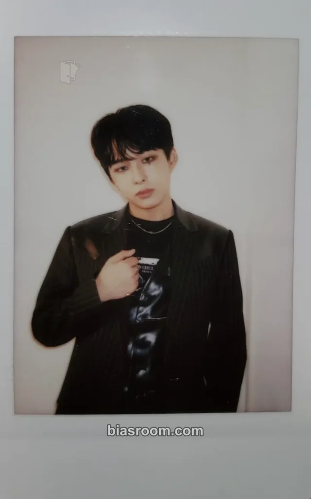 D-CRUNCH - Dylan - Pierrot Album polaroid crowdfunding benefit