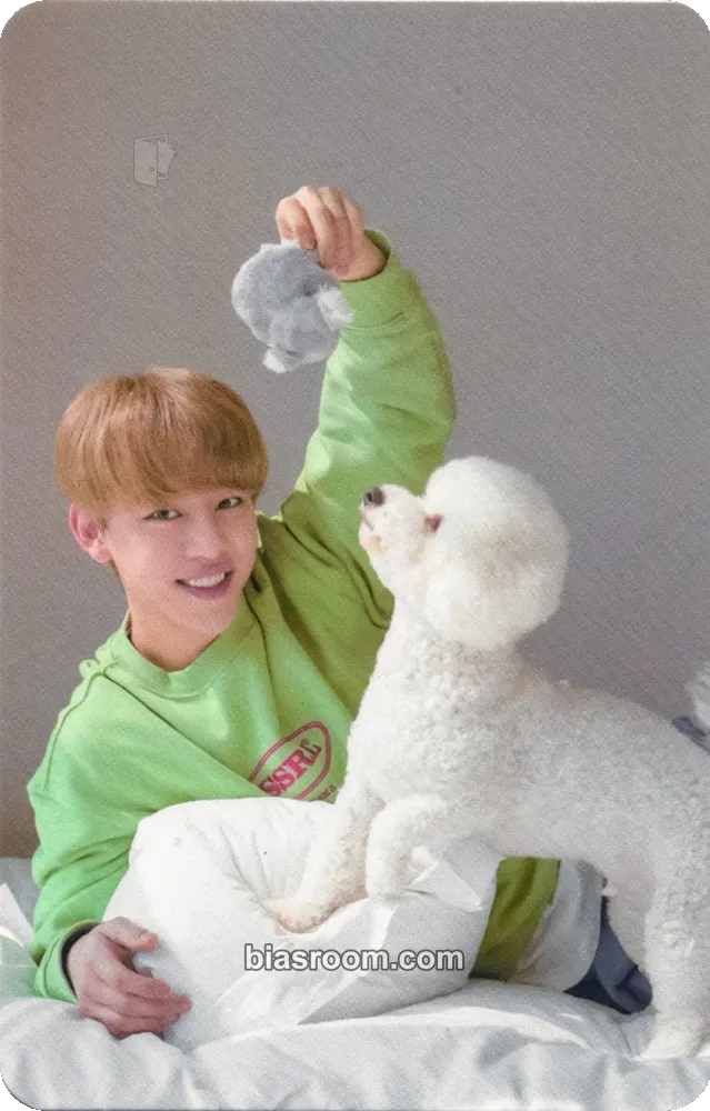 Daehyun Chapter 2 “27” (Daehyun Solo) Photocard - BANG&JUNG&YOO&MOON - BANG&JUNG&YOO&MOON K-pop photocard