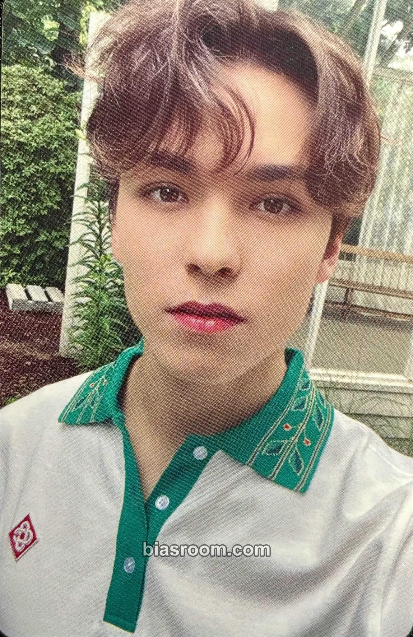 Vernon DICON Photocard 101: Custom Book Photocard - SEVENTEEN - SEVENTEEN K-pop photocard