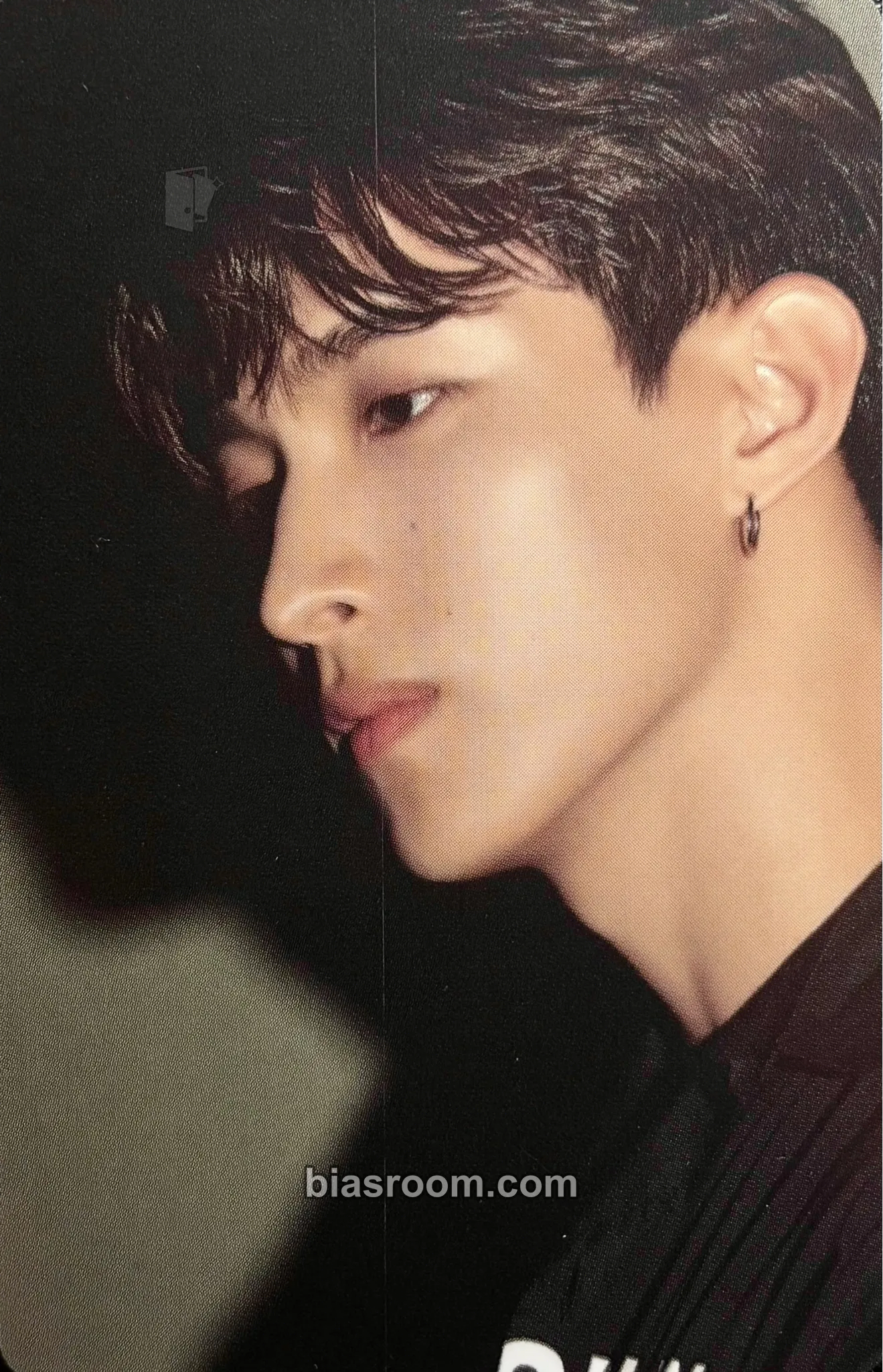 DK DICON Photocard 101: Custom Book Photocard - SEVENTEEN - SEVENTEEN K-pop photocard