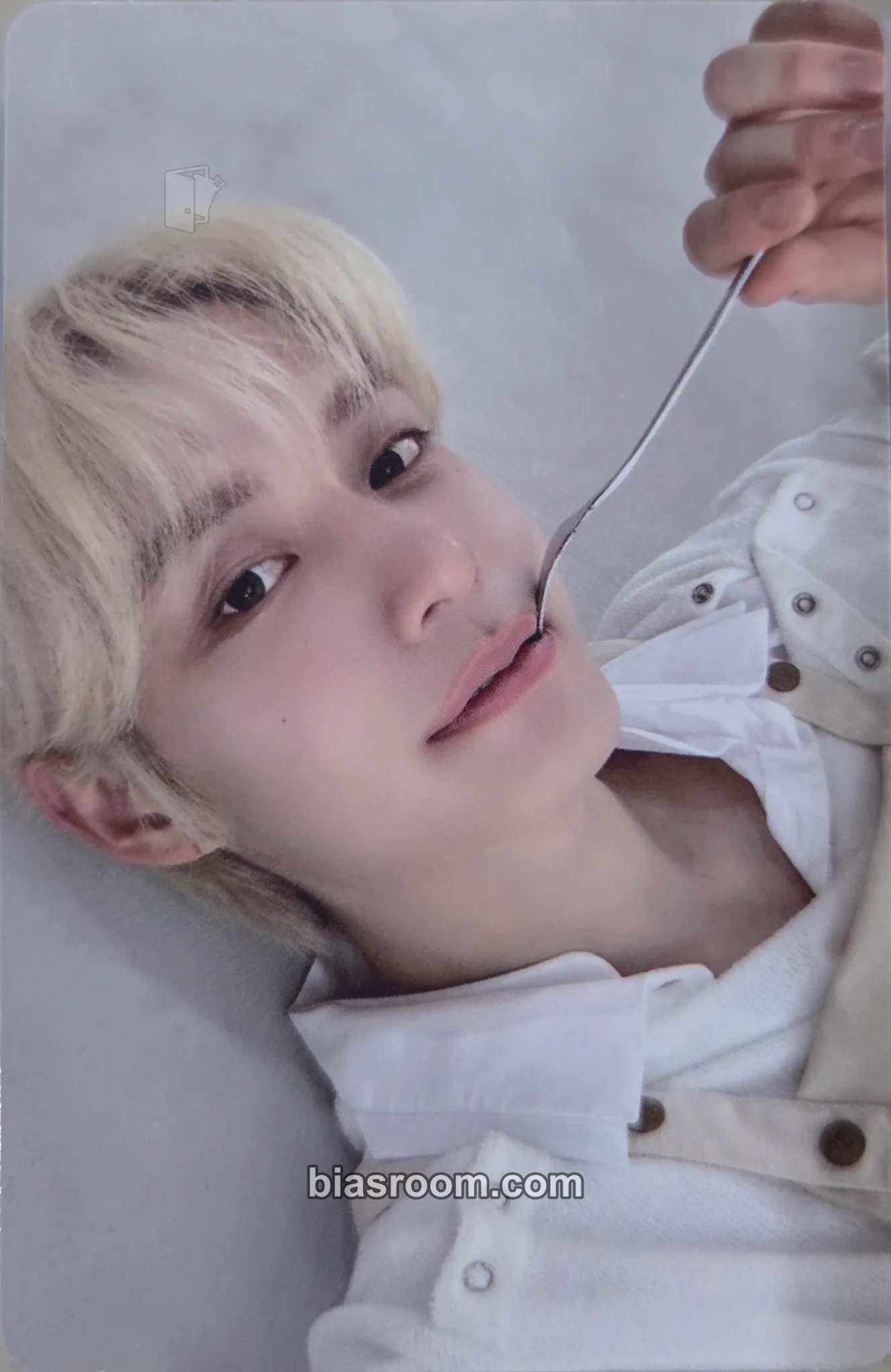 Jiwoong 2025 Seasons Greetings 'Our Season' Photocard - ZEROBASEONE - ZEROBASEONE K-pop photocard