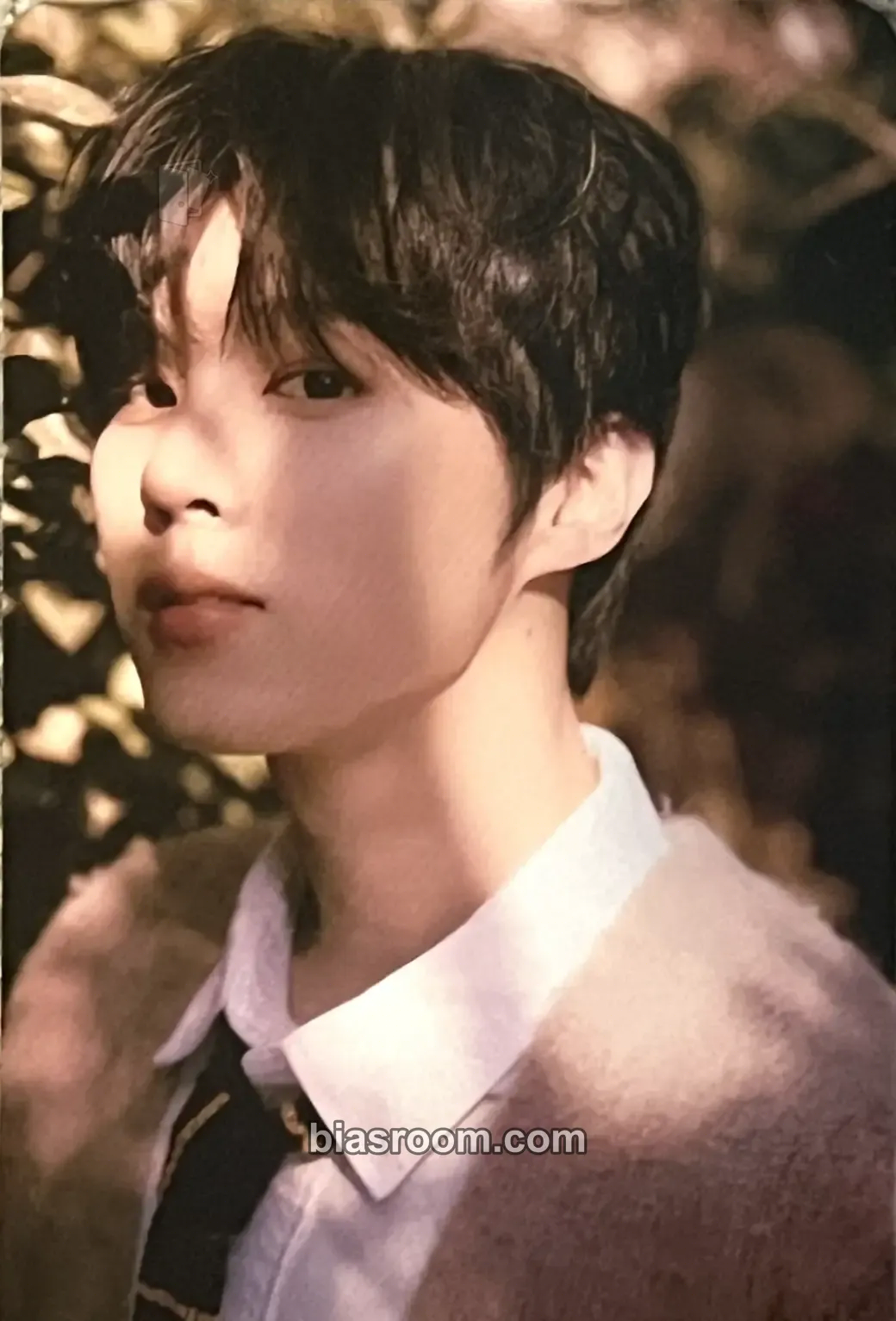 Wooseok 2024 Seasons' Greetings : Every piece of you Photocard - Kim Wooseok - Kim Wooseok K-pop photocard