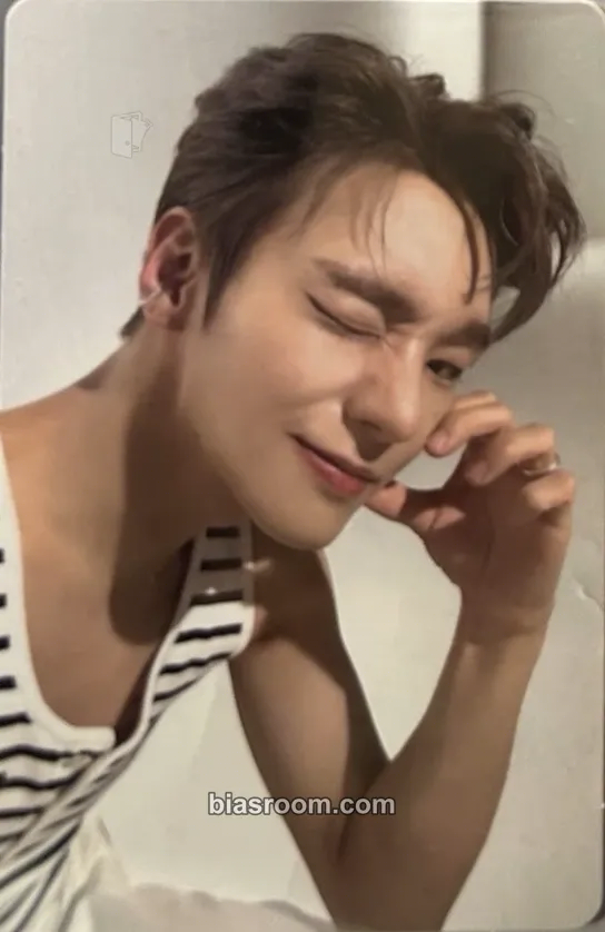 Hyesung VENI VIDI VICI Photocard - VANNER - VANNER K-pop photocard