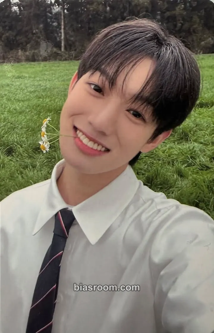 Thanatorn Beginning : The Wind Page Photocard - The Wind - The Wind K-pop photocard