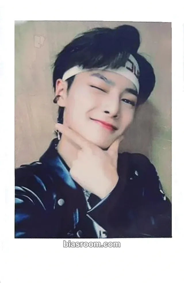 Stray Kids - I.N - Scars Album tower records japan polaroid lucky draw (LD)