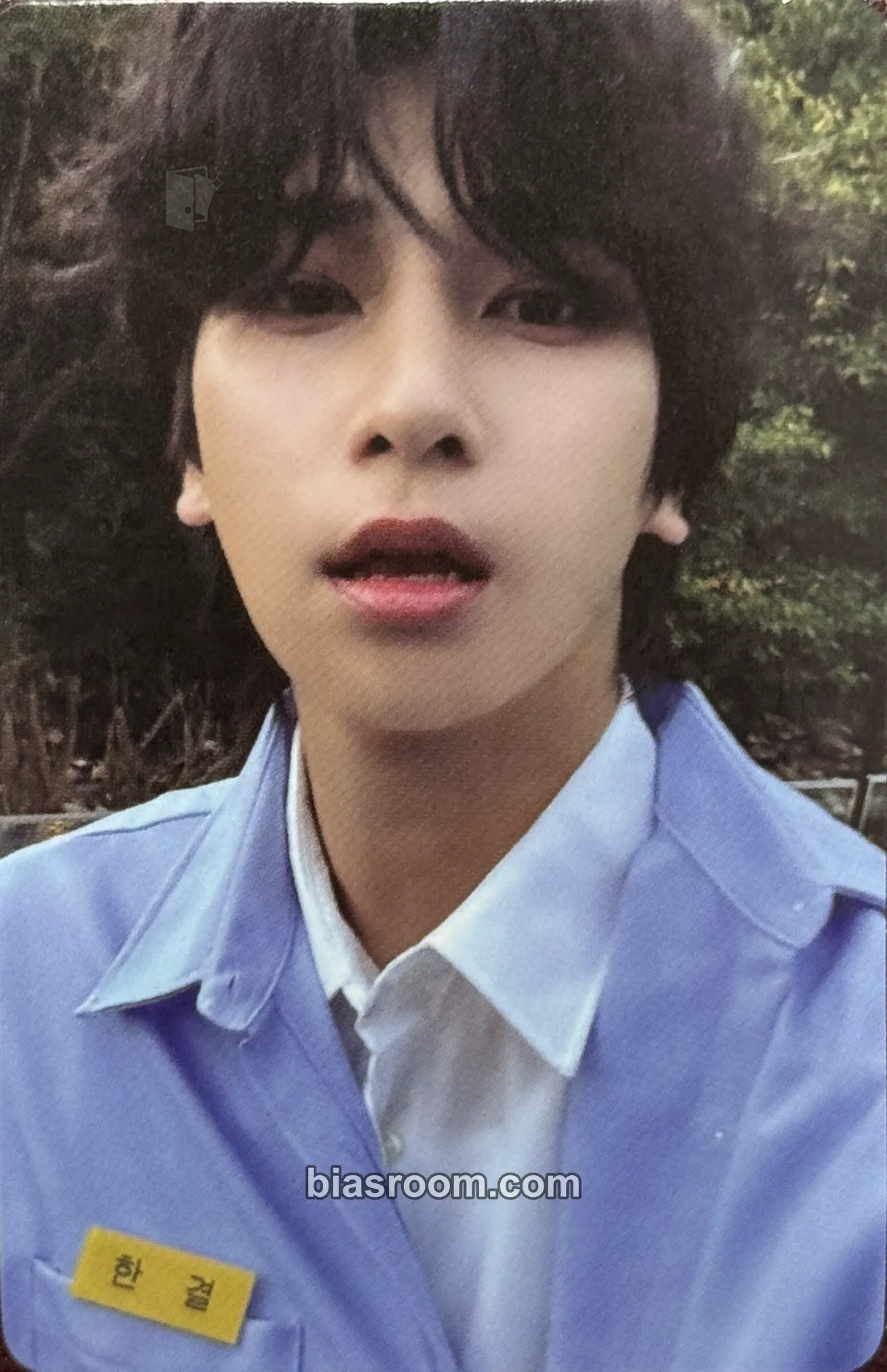 Hangyul NEW CHAPTER : DESEAR Photocard - BAE173 - BAE173 K-pop photocard