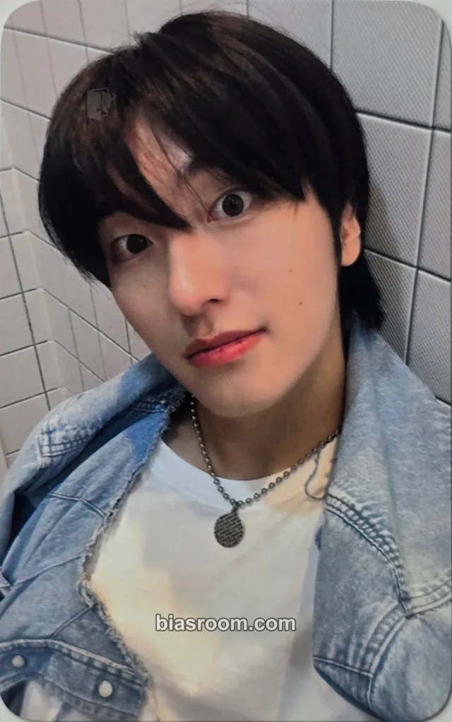 Omega X - Sebin - ITTA Dollplush Other merch photocard purchase benefit itta interasia