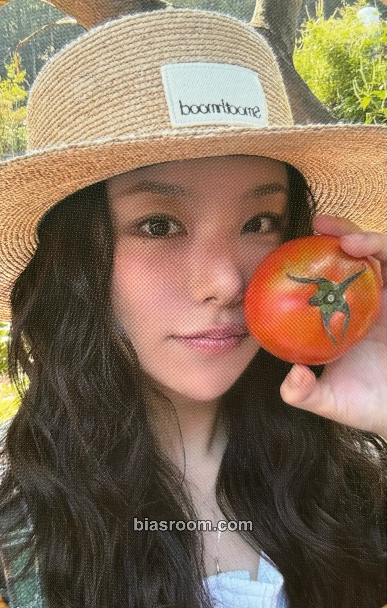 Wheein Wheein 2026 Season's Greetings: Fruitful Holiday Photocard - MAMAMOO - MAMAMOO K-pop photocard