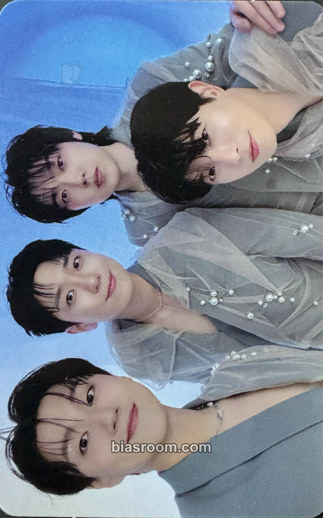 Everything Photocard - Forestella - Forestella K-pop photocard