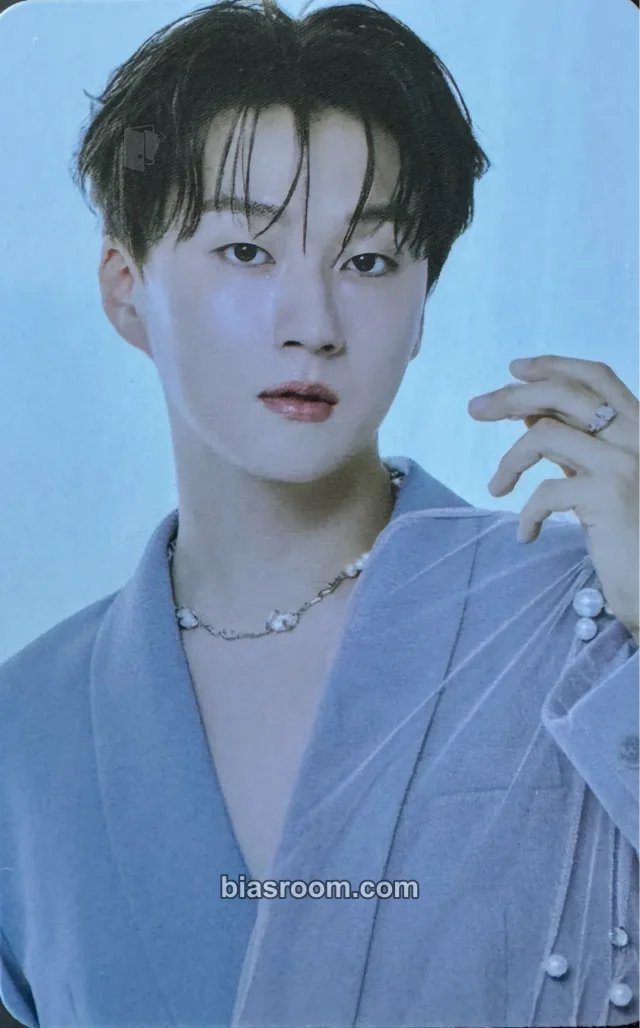 Forestella - Mingyu - Everything Album album photocard photocard set