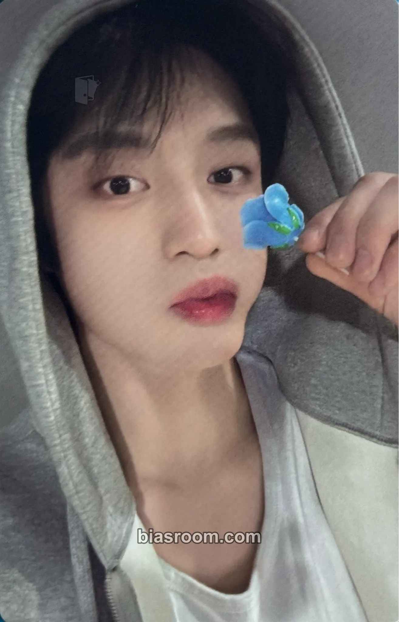 Jiwoong 2nd Anniversary Pop-up 'Our BLUE Bakery' Photocard - ZEROBASEONE - ZEROBASEONE K-pop photocard