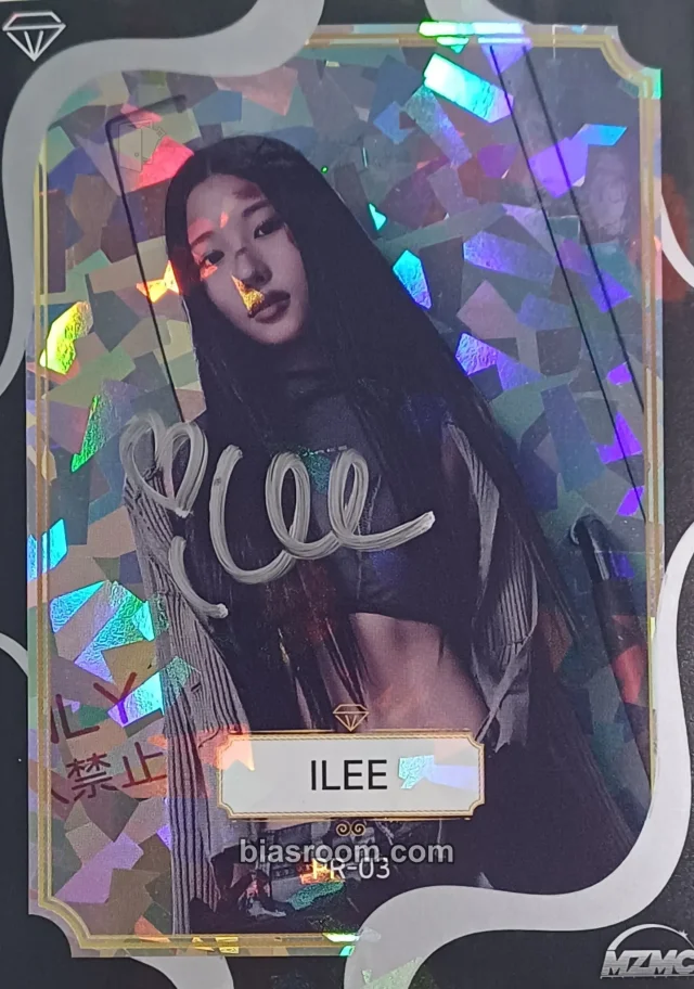 VVS - Ilee - D.I.M.M Album first press only