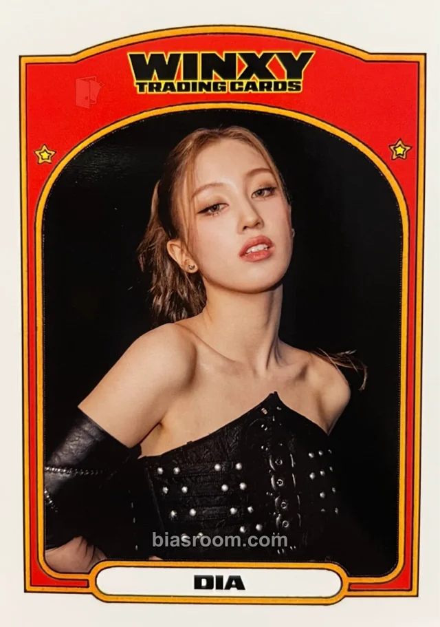 PIXY - Dia - Karma Is A B Tour Event merch photocard tour merch trading card