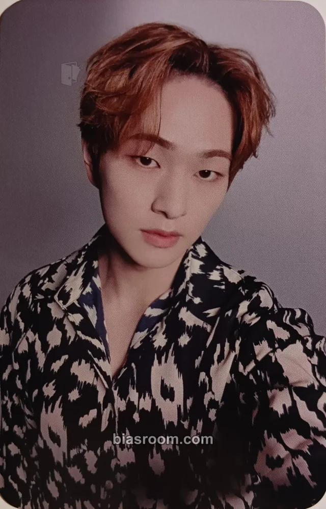 SHINee - Onew - Life Goes On Album album photocard E version japanese album