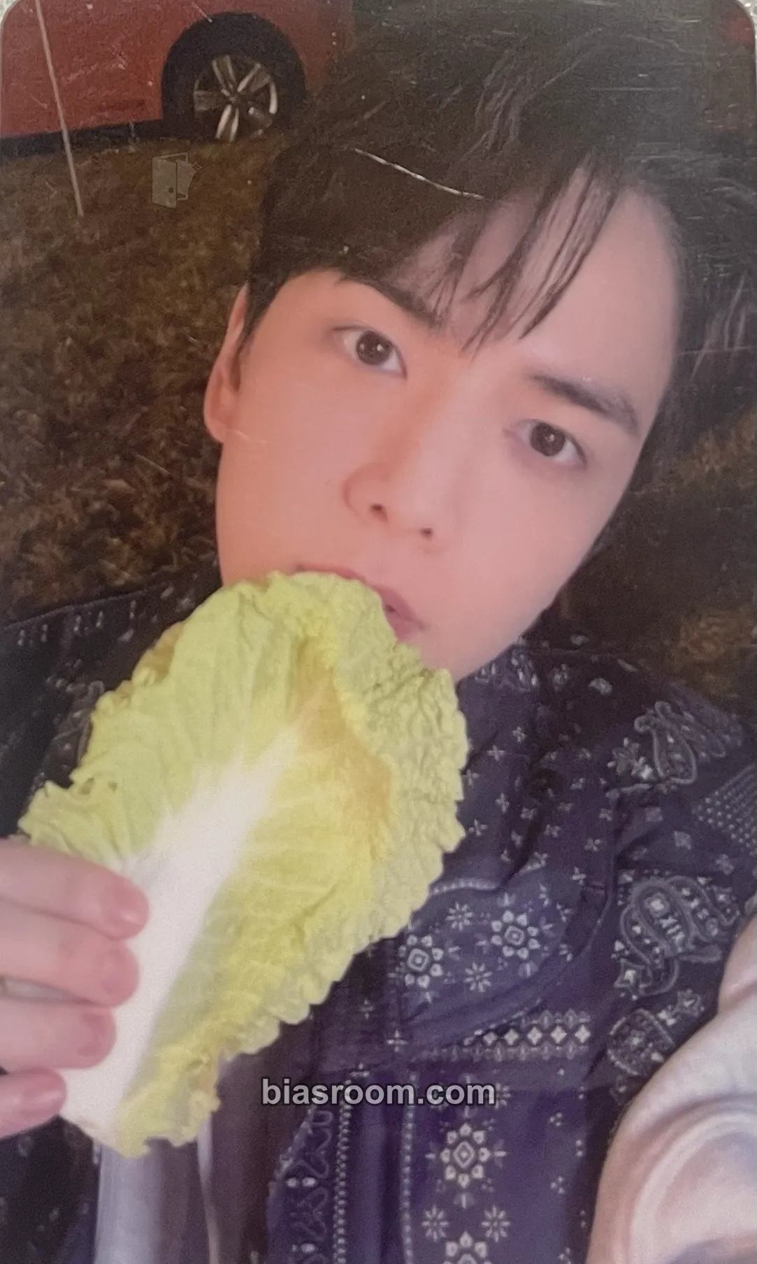 Younghoon 2022 Fan-Con: The B-Road Photocard - THE BOYZ - THE BOYZ K-pop photocard