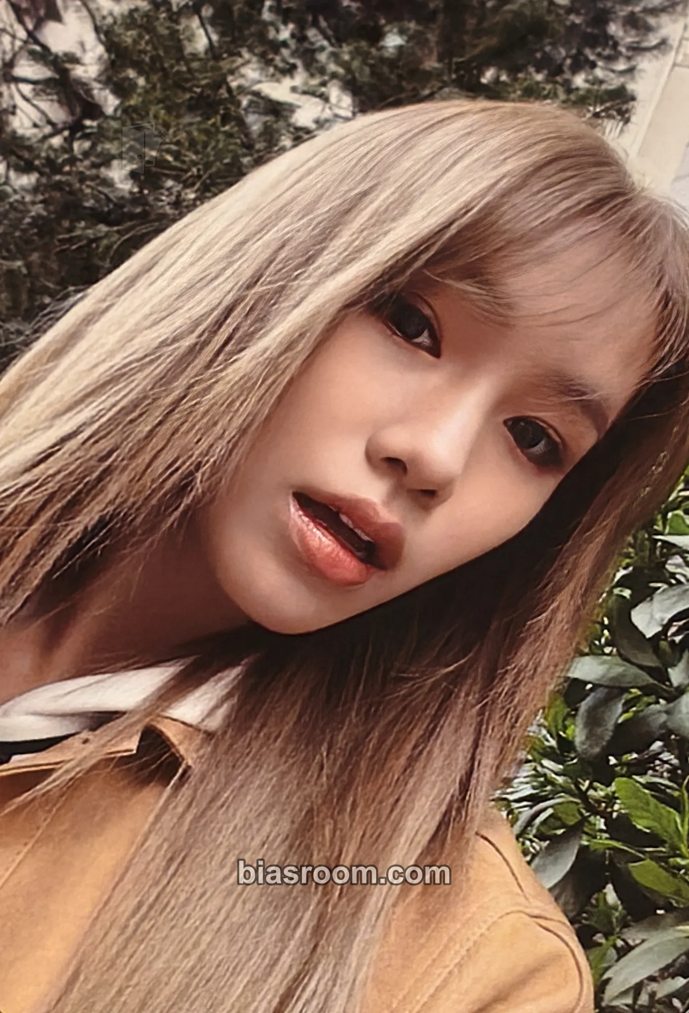 Doeun COLD Photocard - Young Posse - Young Posse K-pop photocard