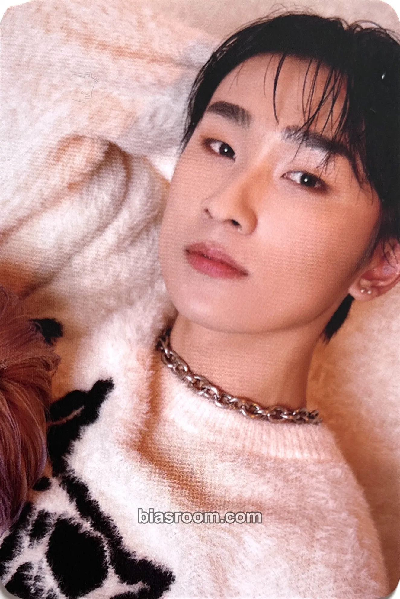 Junghyun Do Not Disturb Photocard - 2Z - 2Z K-pop photocard