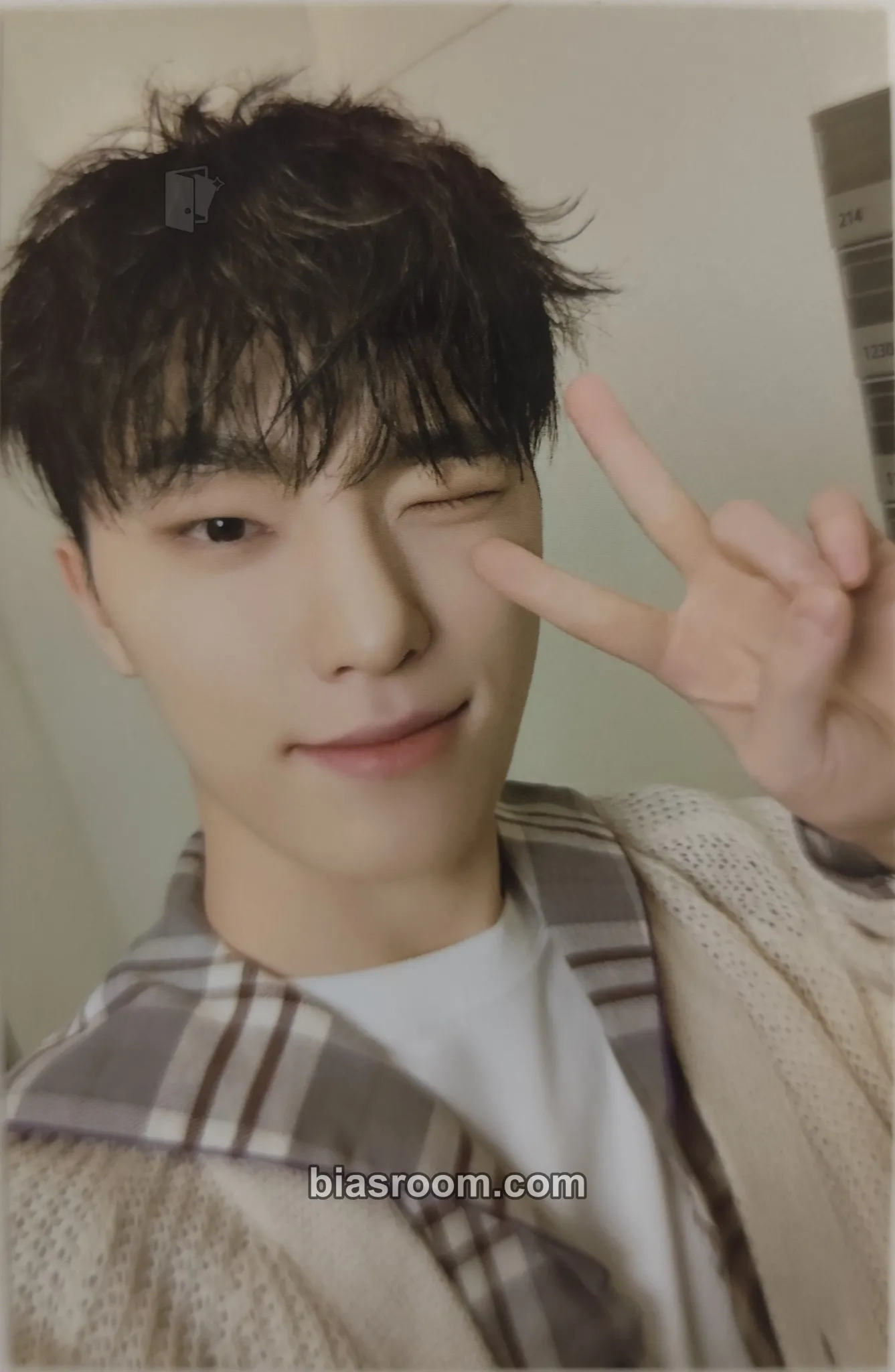 Dino 2024 8TH SVT IN CARAT LAND Photocard - SEVENTEEN - SEVENTEEN K-pop photocard