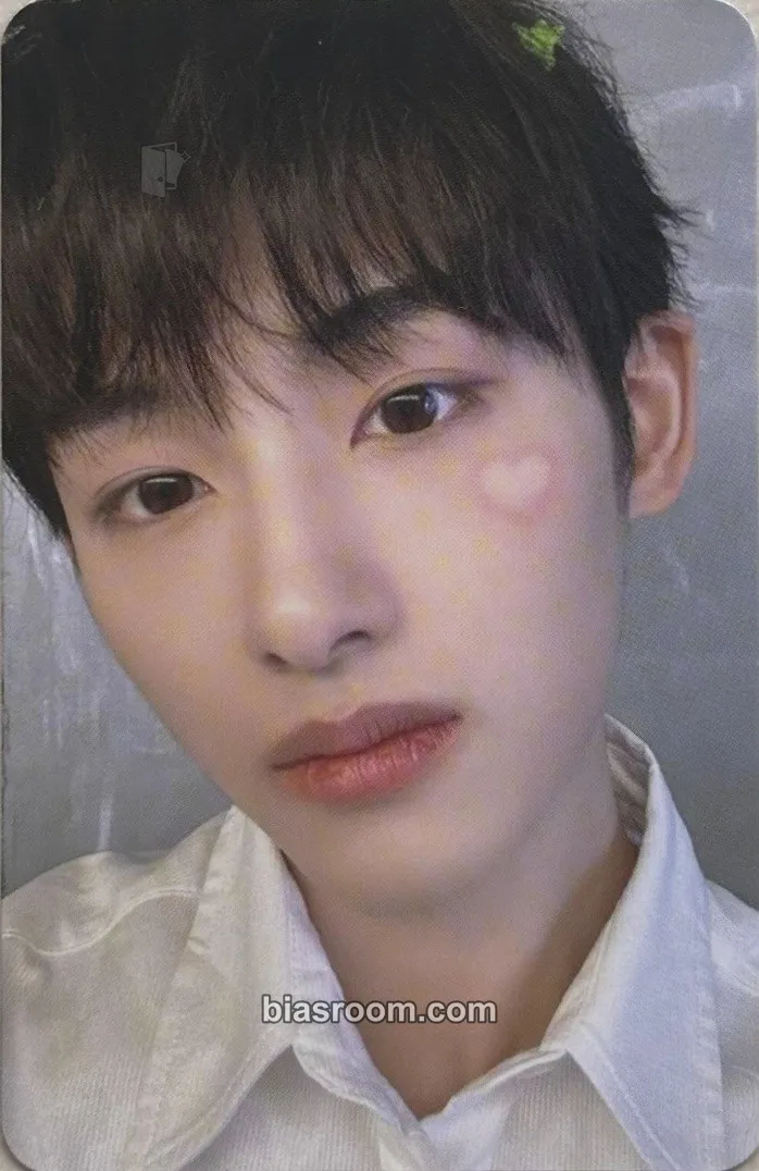 Winwin 2024 Season's Greetings Photocard - WayV - WayV K-pop photocard