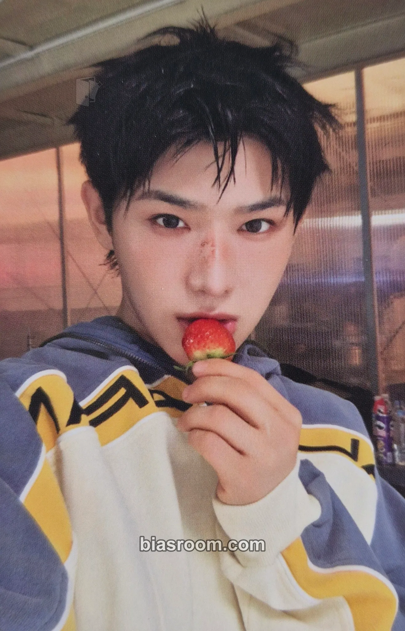 Yichen 1. Got Hooked: An Addictive Symphony Photocard - MODYSSEY - MODYSSEY K-pop photocard