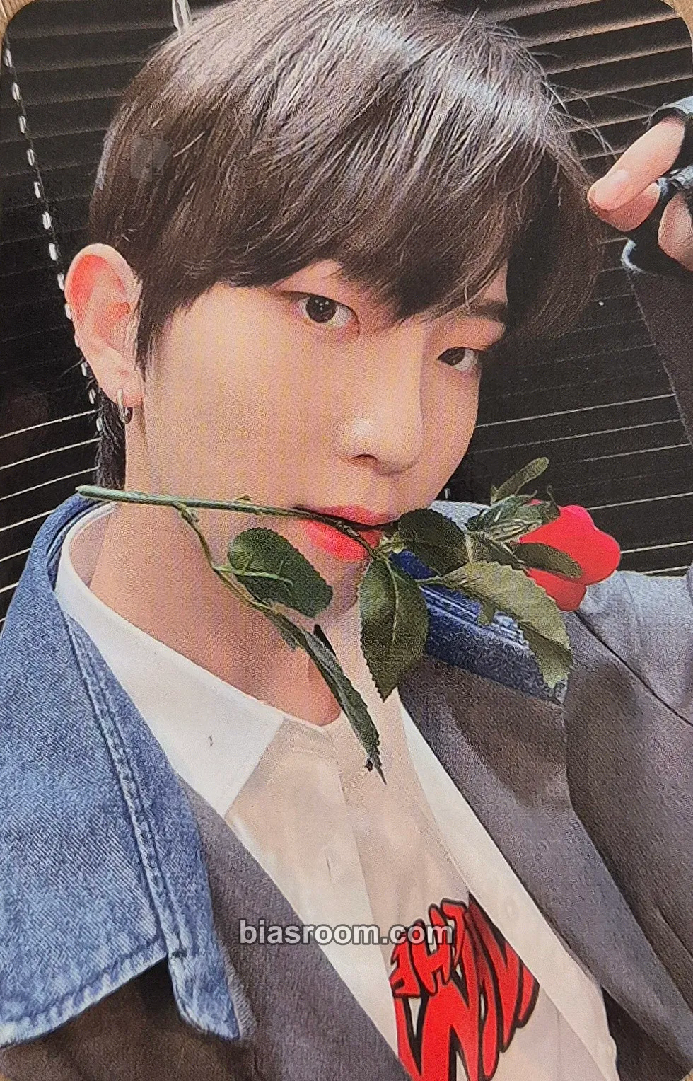 Sungjun LOVE NEVER DIES Photocard - TNX - TNX K-pop photocard