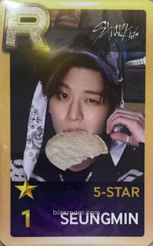 Seungmin 5-Star Dome Tour 2023 Photocard - Stray Kids - Stray Kids K-pop photocard