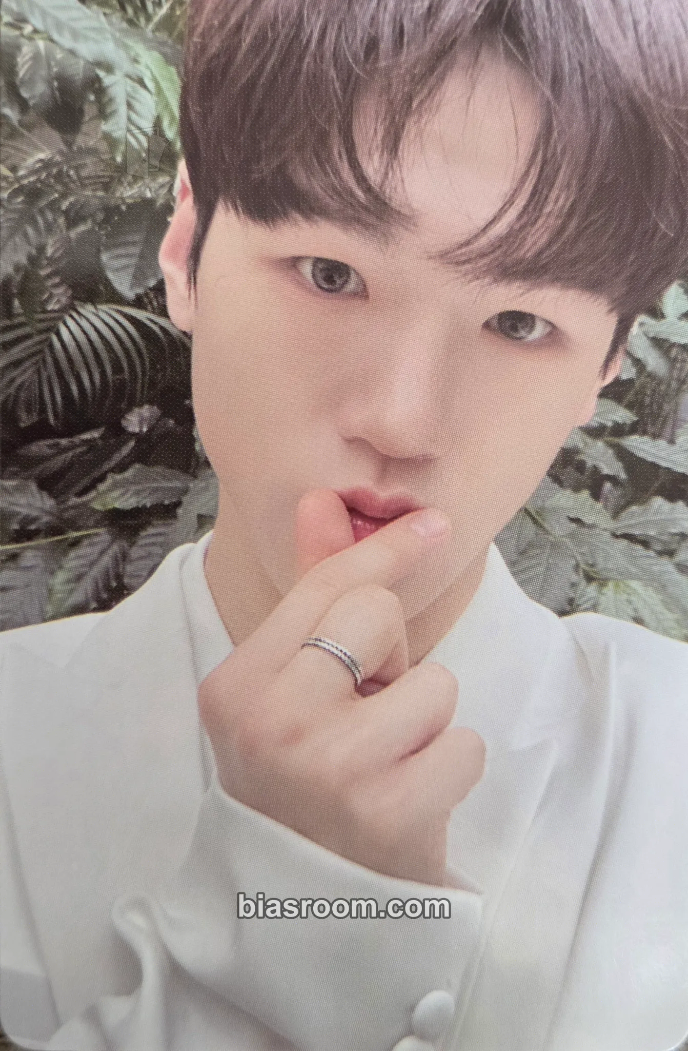 Bain Just Begun Photocard - JustB - JustB K-pop photocard