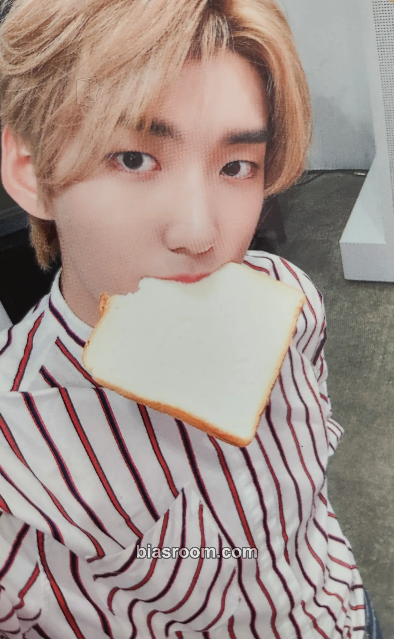 Hwon History of Kingdom : PartⅥ. Mujin Photocard - The KingDom - The KingDom K-pop photocard