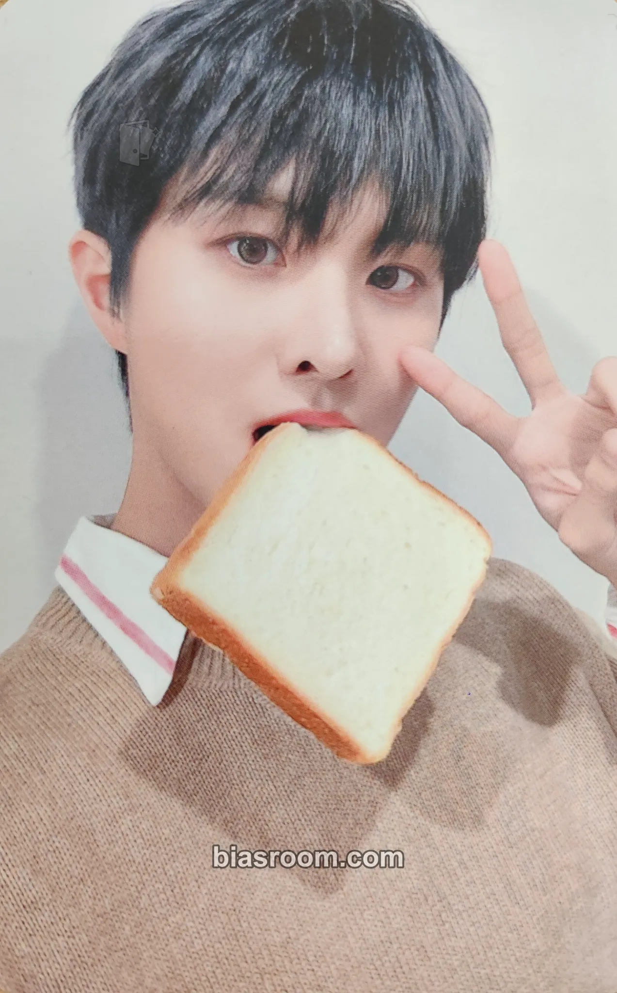 Ivan History of Kingdom : PartⅥ. Mujin Photocard - The KingDom - The KingDom K-pop photocard