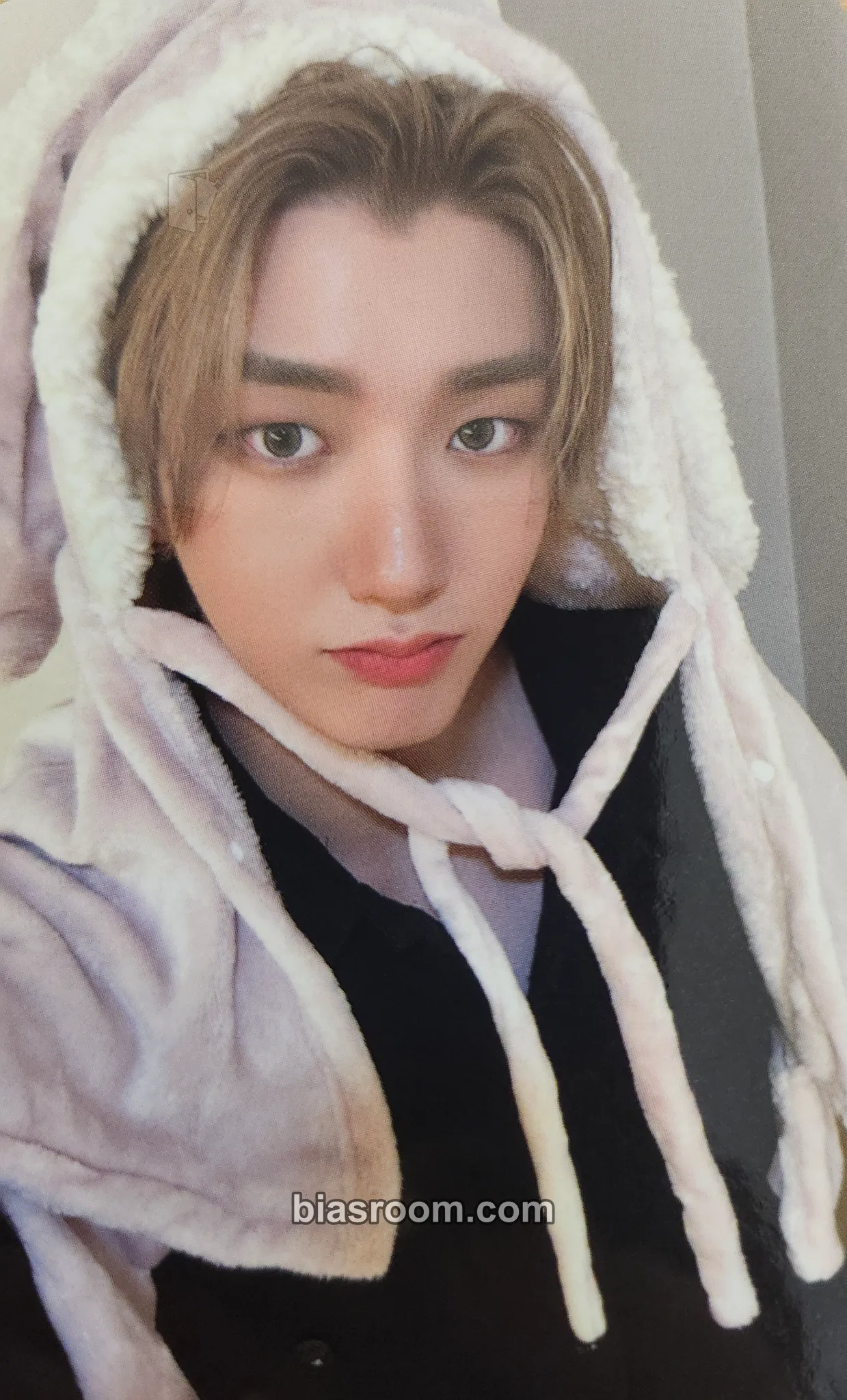 Hwon History of Kingdom : PartⅥ. Mujin Photocard - The KingDom - The KingDom K-pop photocard