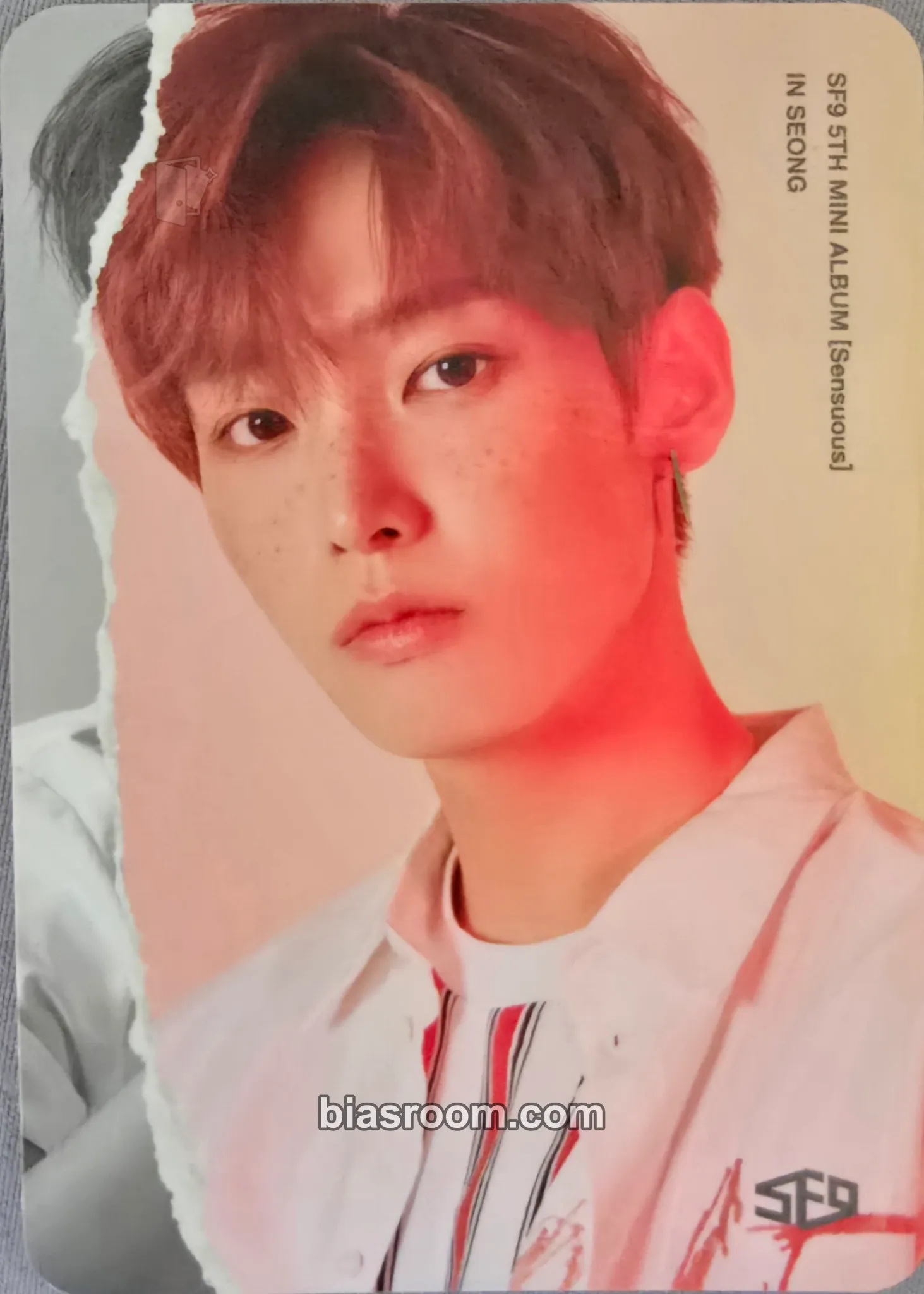 Inseong Sensuous Photocard - SF9 - SF9 K-pop photocard