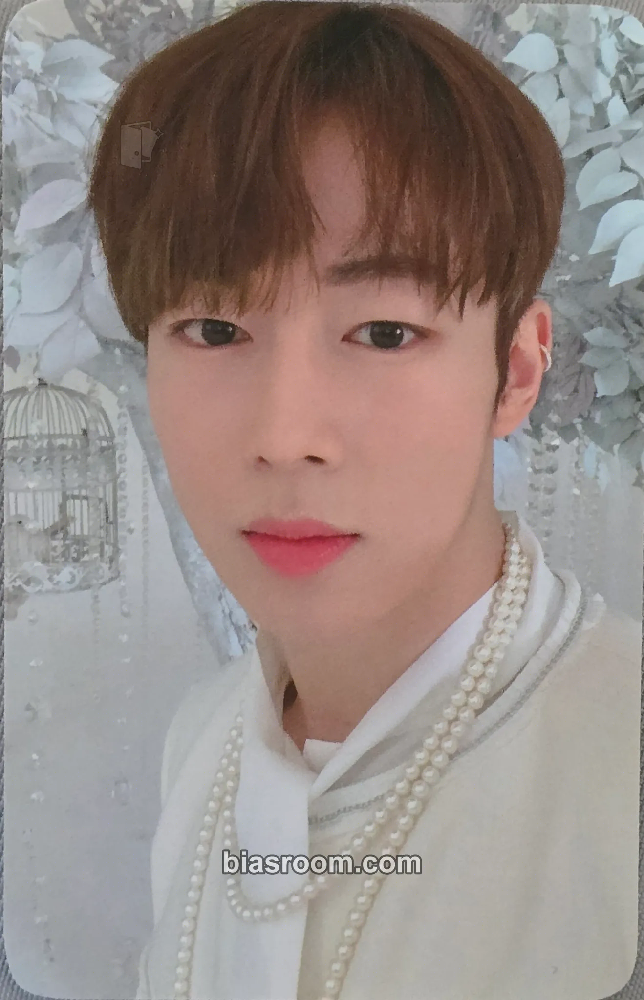 Dawon TURN OVER Photocard - SF9 - SF9 K-pop photocard