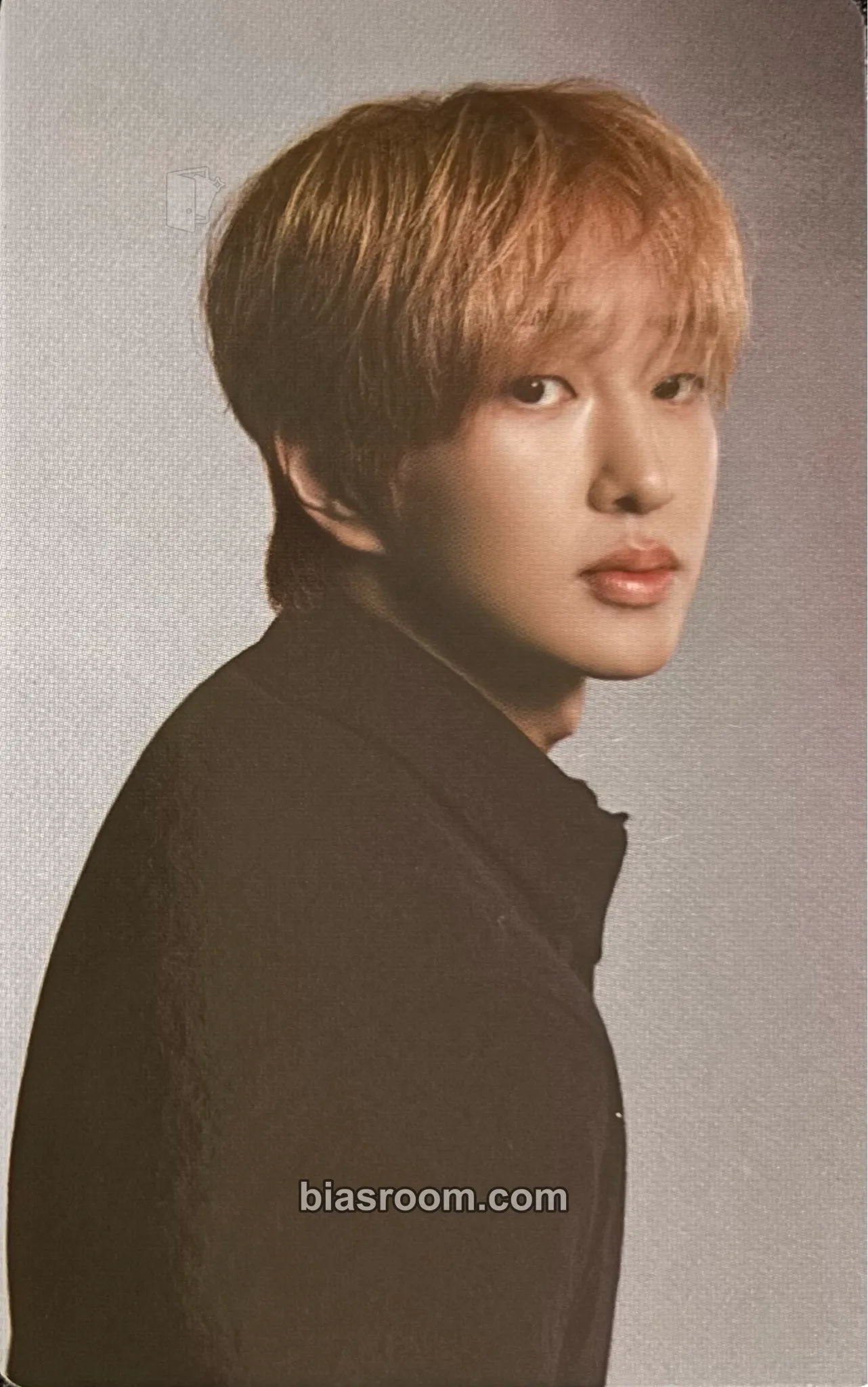 Onew SHINee 2026 Season's Greetings Photocard - SHINee - SHINee K-pop photocard