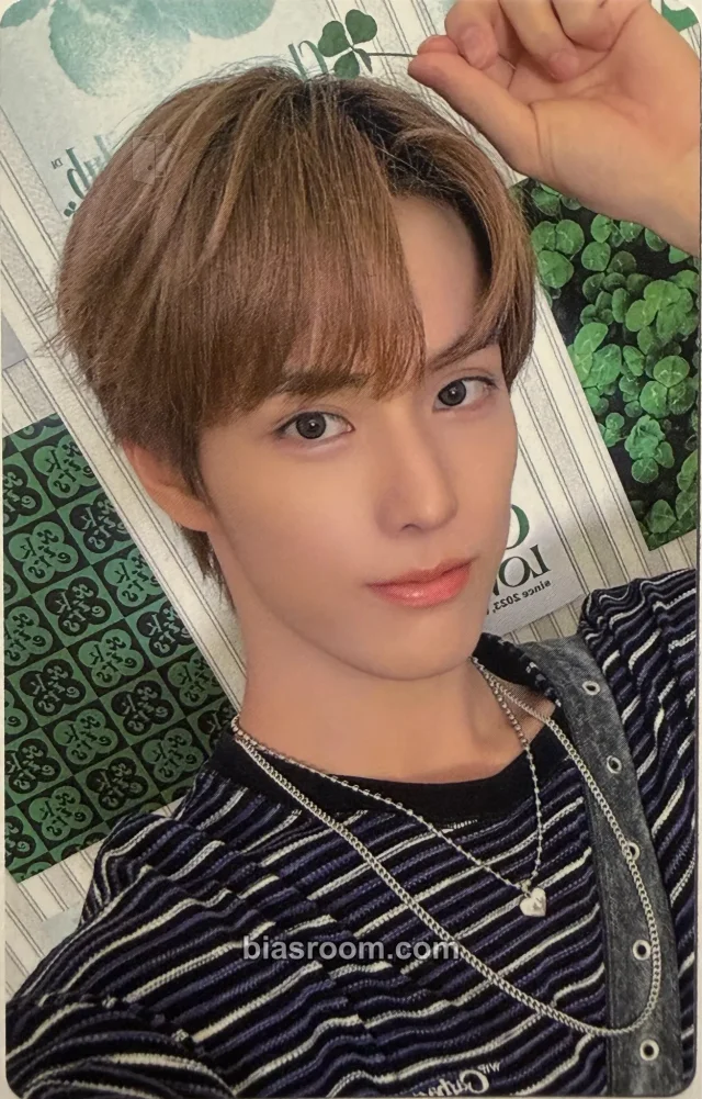 cmgquqfl40005l5049brg7t5e Other photocard