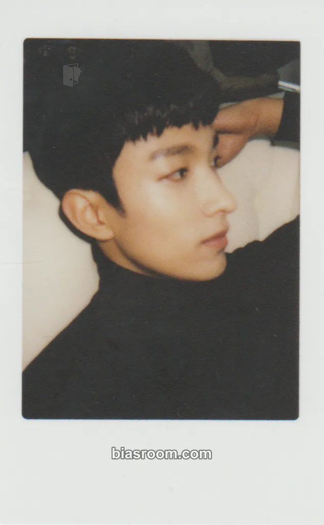 DK 2017 1ST SEVENTEEN IN CARAT LAND Photocard - SEVENTEEN - SEVENTEEN K-pop photocard