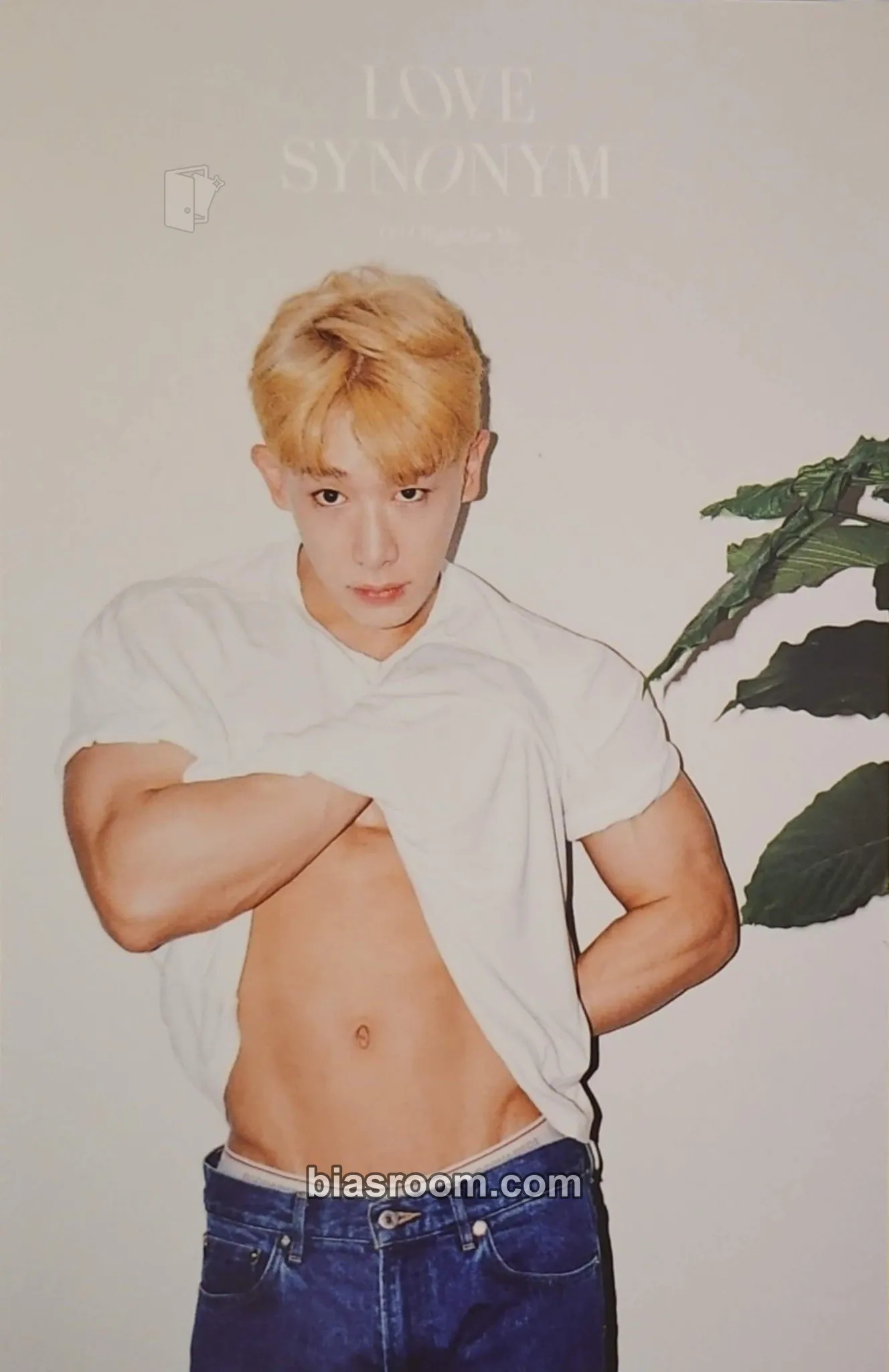 Wonho Love Synonym #1: Right for Me Photocard - Wonho K-pop photocard