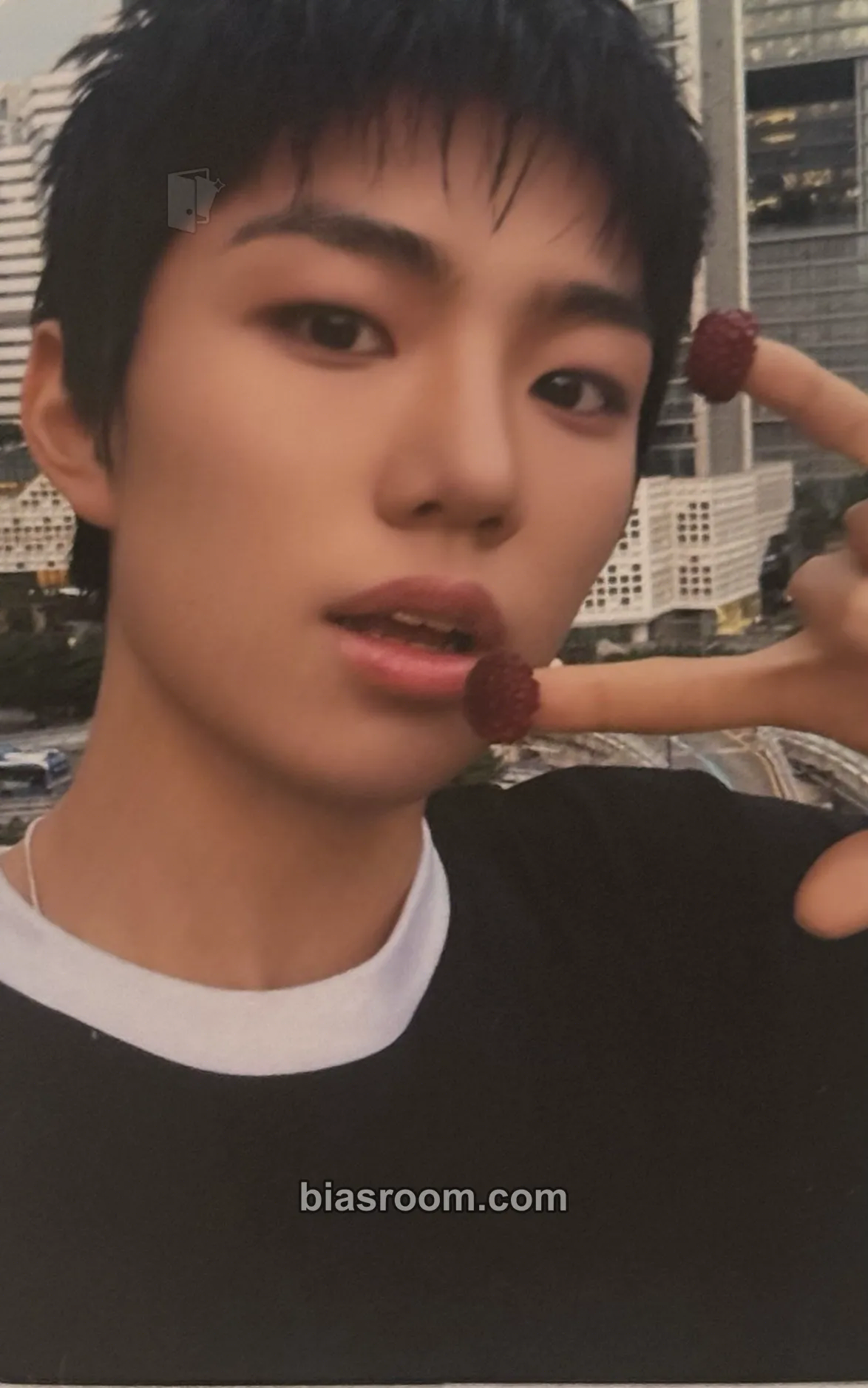 Park Jihoo LOVE ANECDOTE(S) Photocard - EVNNE - EVNNE K-pop photocard