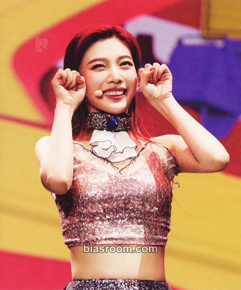 Joy Red Room: Red Velvet First Concert Photocard - Red Velvet - Red Velvet K-pop photocard
