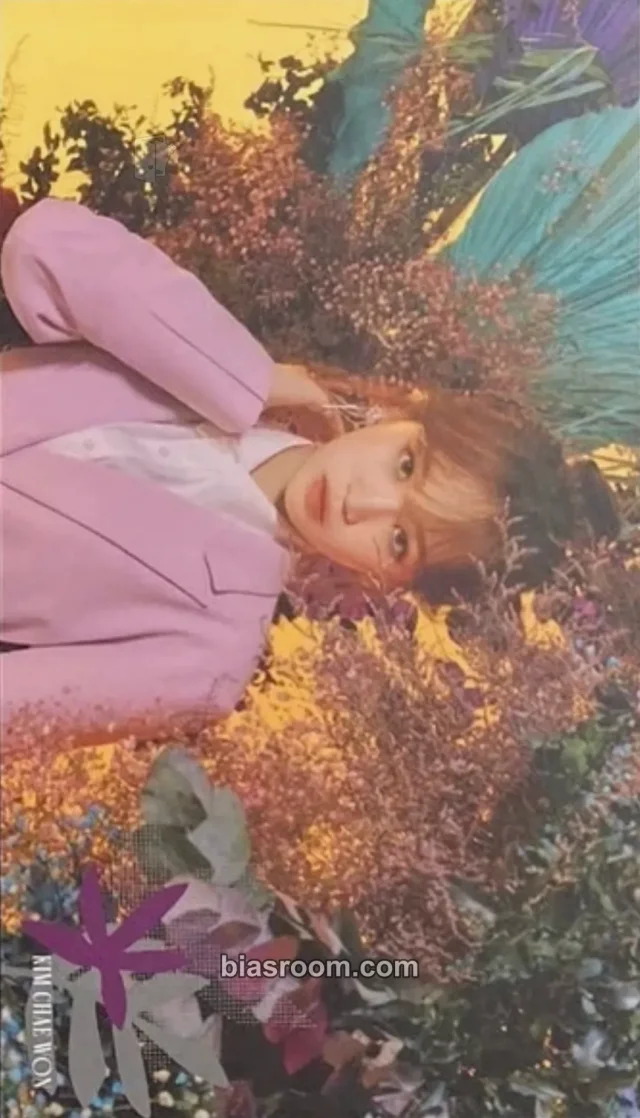 IZ*ONE - Kim Chaewon - BLOOM*IZ Album postcard album inclusion i will version