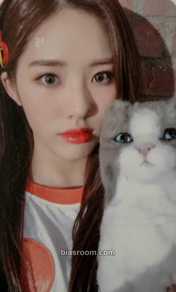 Jiwon To. Day Photocard - fromis_9 - fromis_9 K-pop photocard