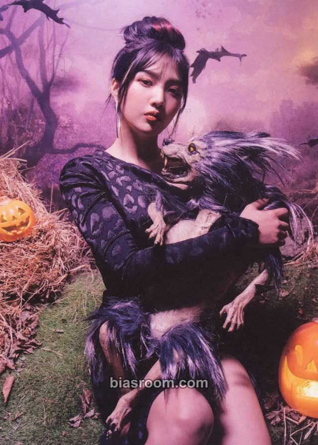 Red Velvet - Joy - RBB Album postcard postcard set merch