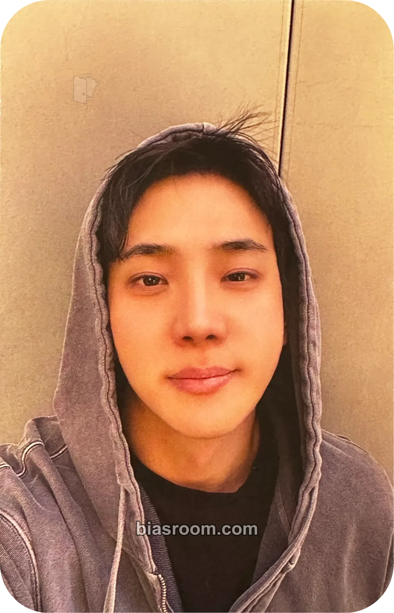 Dojoon ROSETOPIA WORLD TOUR Photocard - The Rose - The Rose K-pop photocard