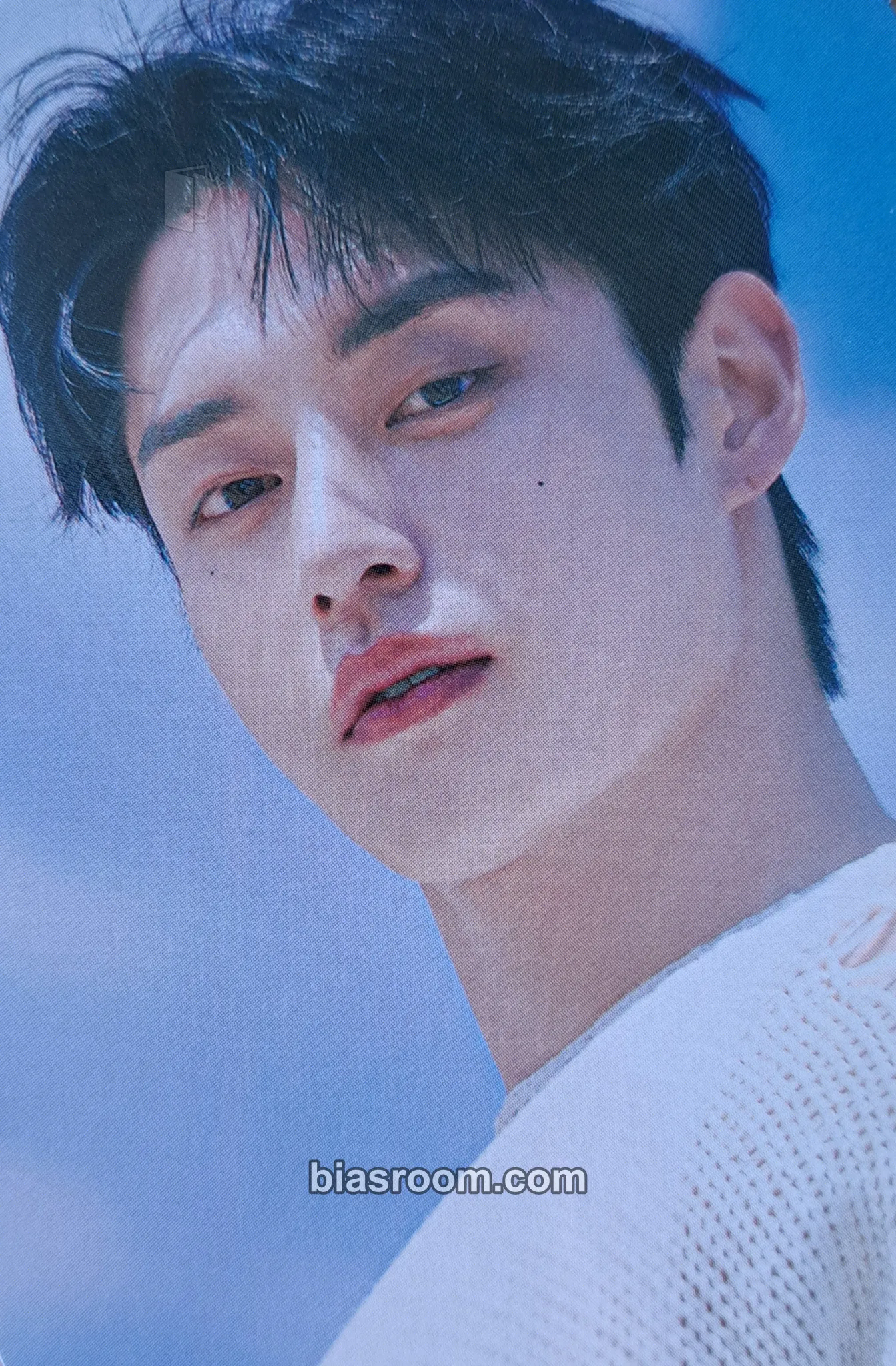 Jiwoong Pop-up Store in Gangnam (Line Friends) Photocard - ZEROBASEONE - ZEROBASEONE K-pop photocard
