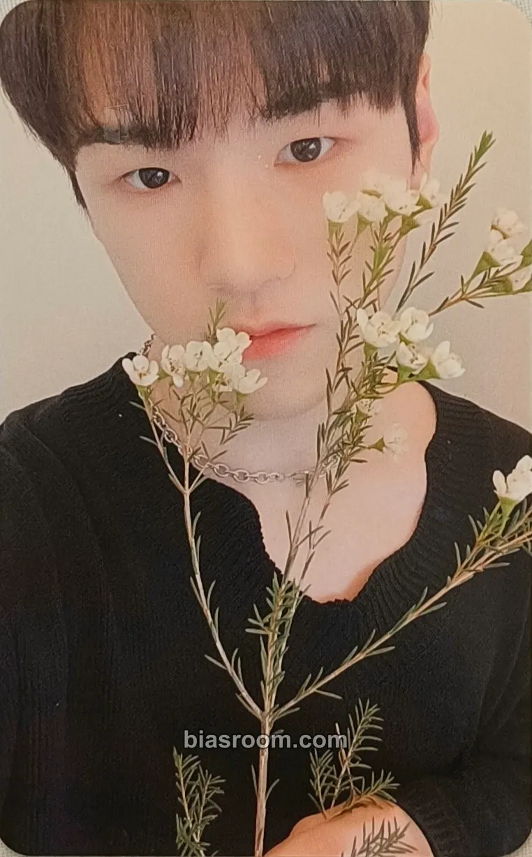 Bain Just Begun Photocard - JustB - JustB K-pop photocard