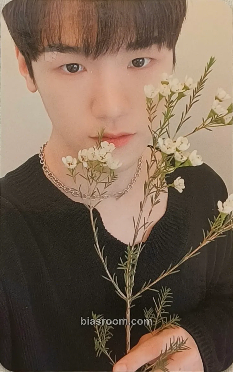 Bain Just Begun Photocard - JustB - JustB K-pop photocard