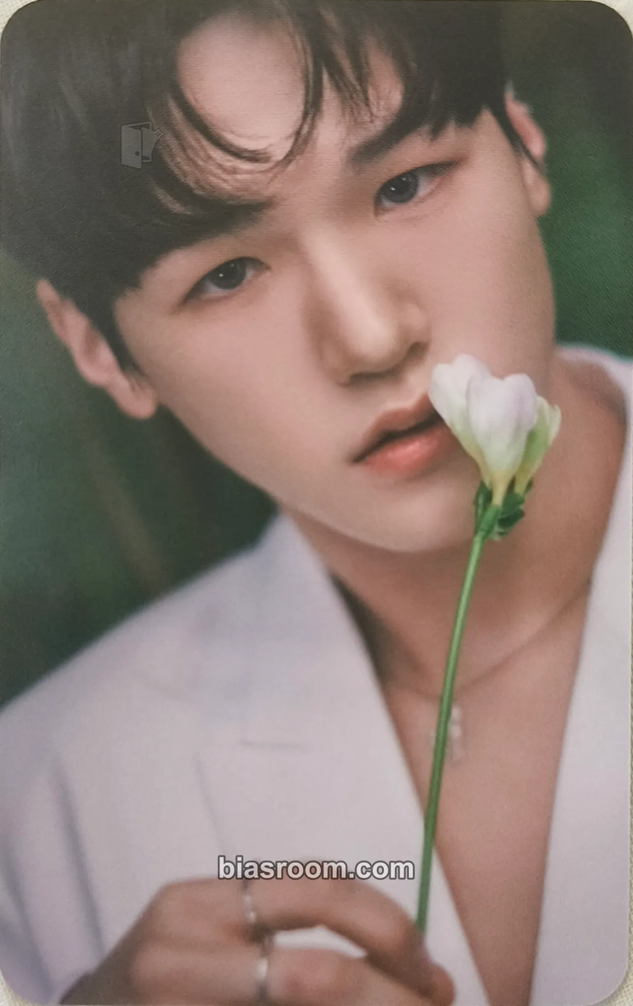 Bain Just Begun Photocard - JustB - JustB K-pop photocard